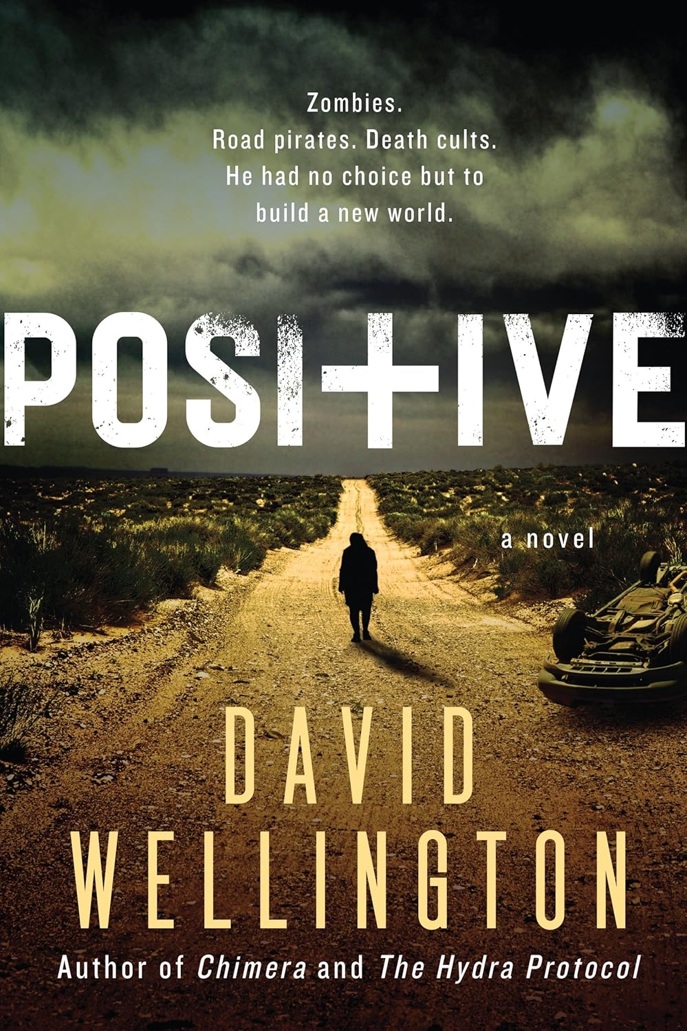 David Wellington