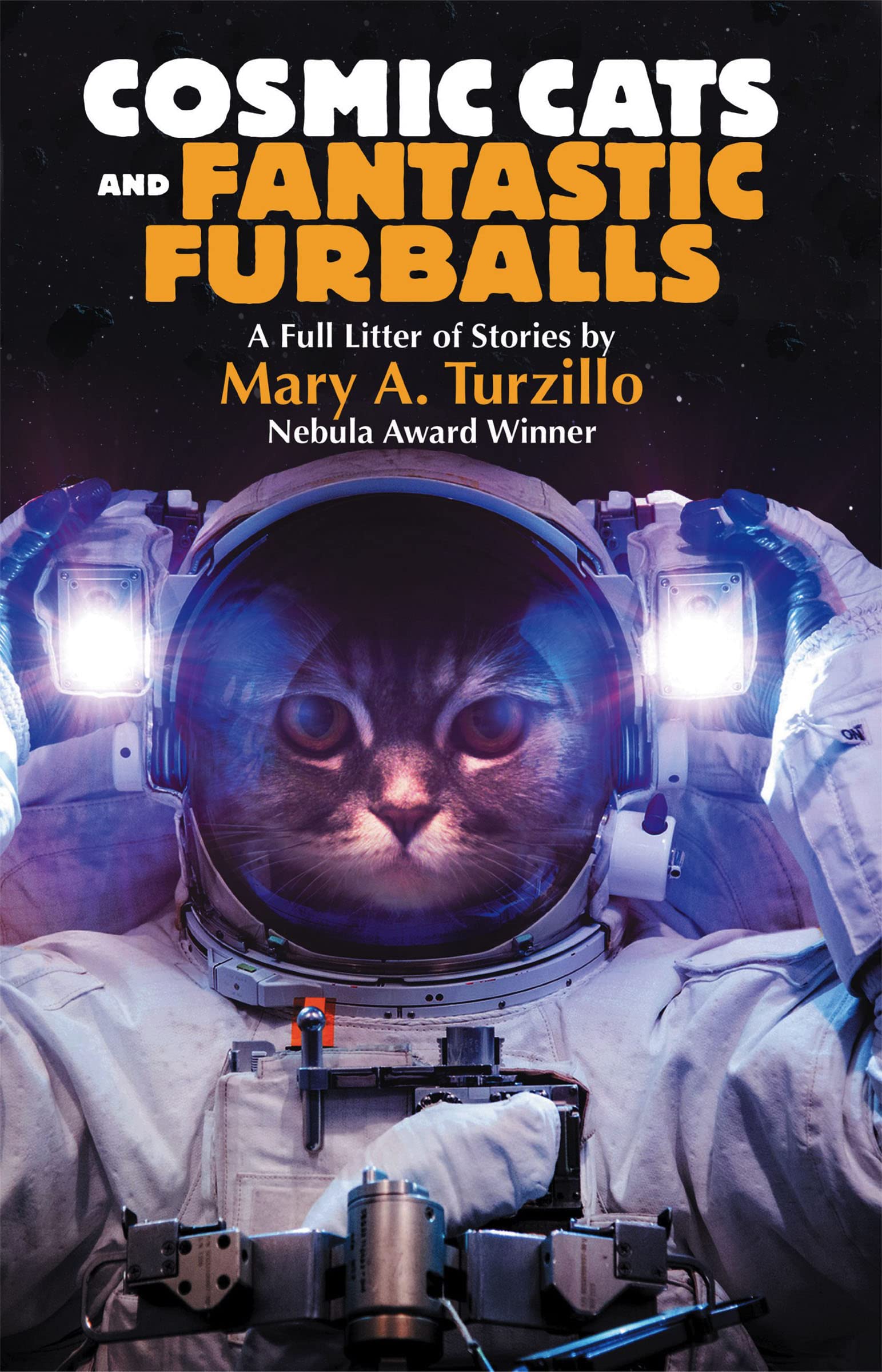 Mary A. Turzillo