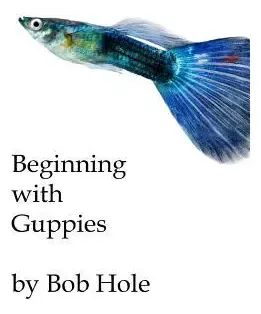 Bob Hole