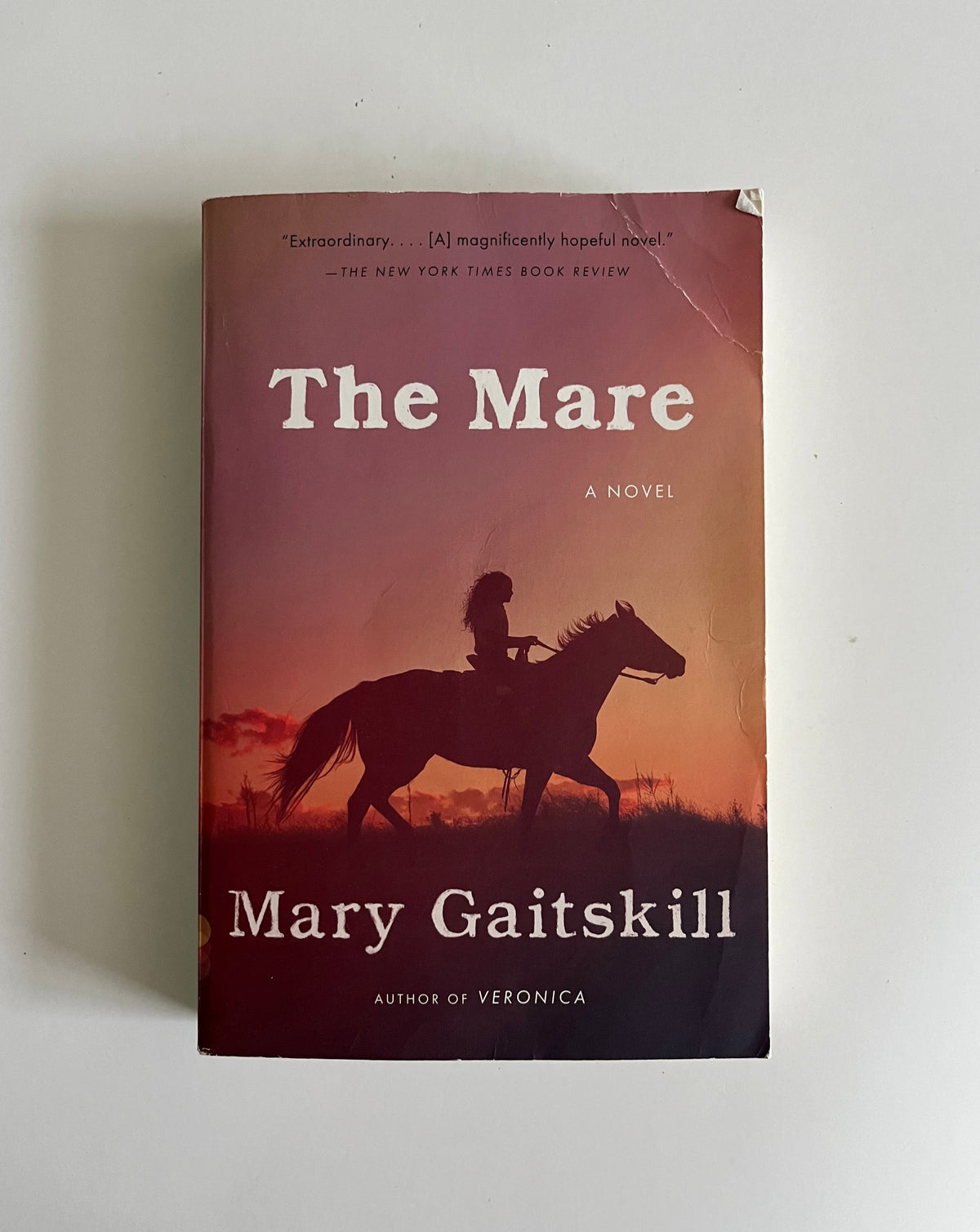 Mary Gaitskill