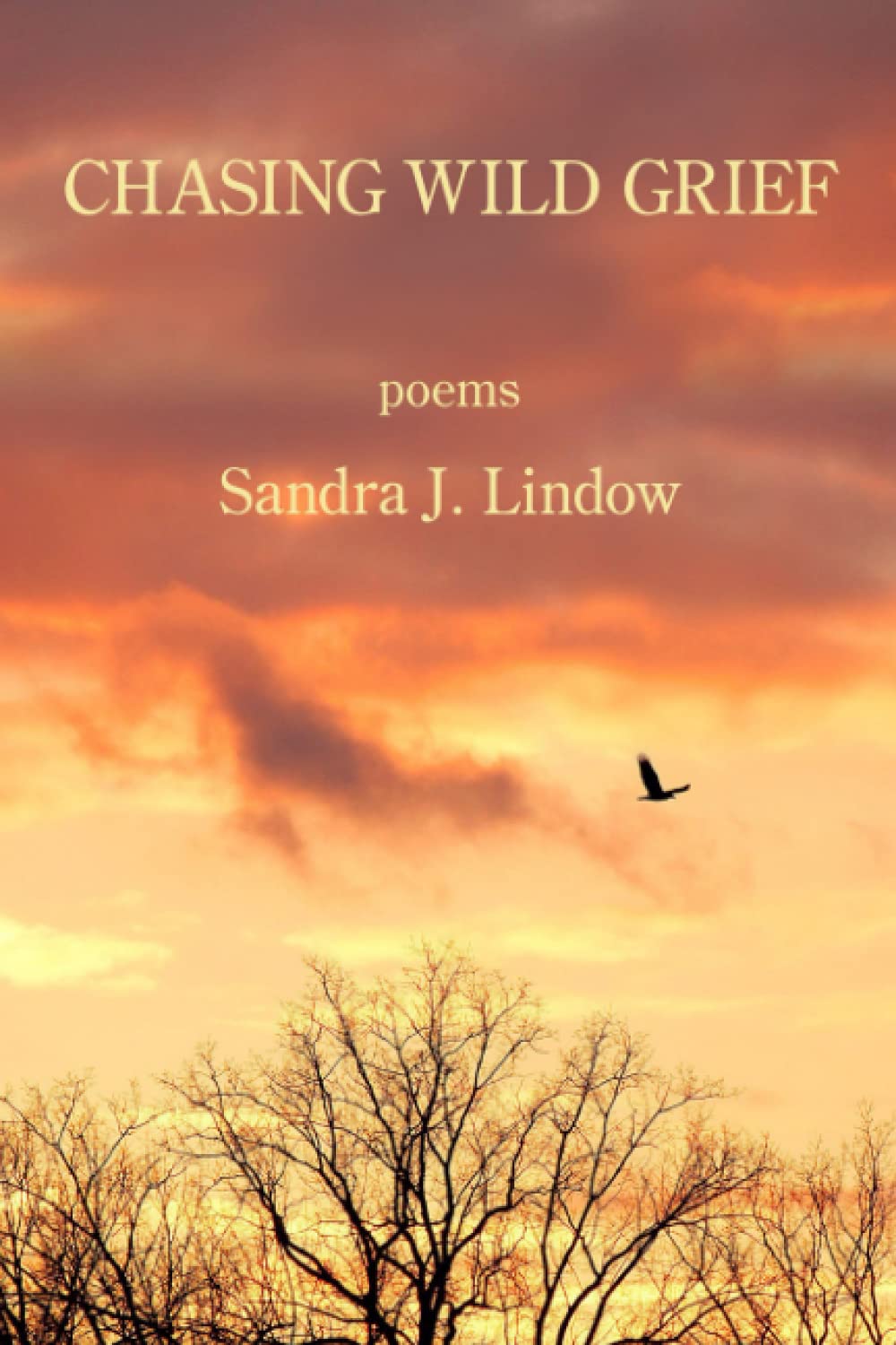 Sandra J Lindow