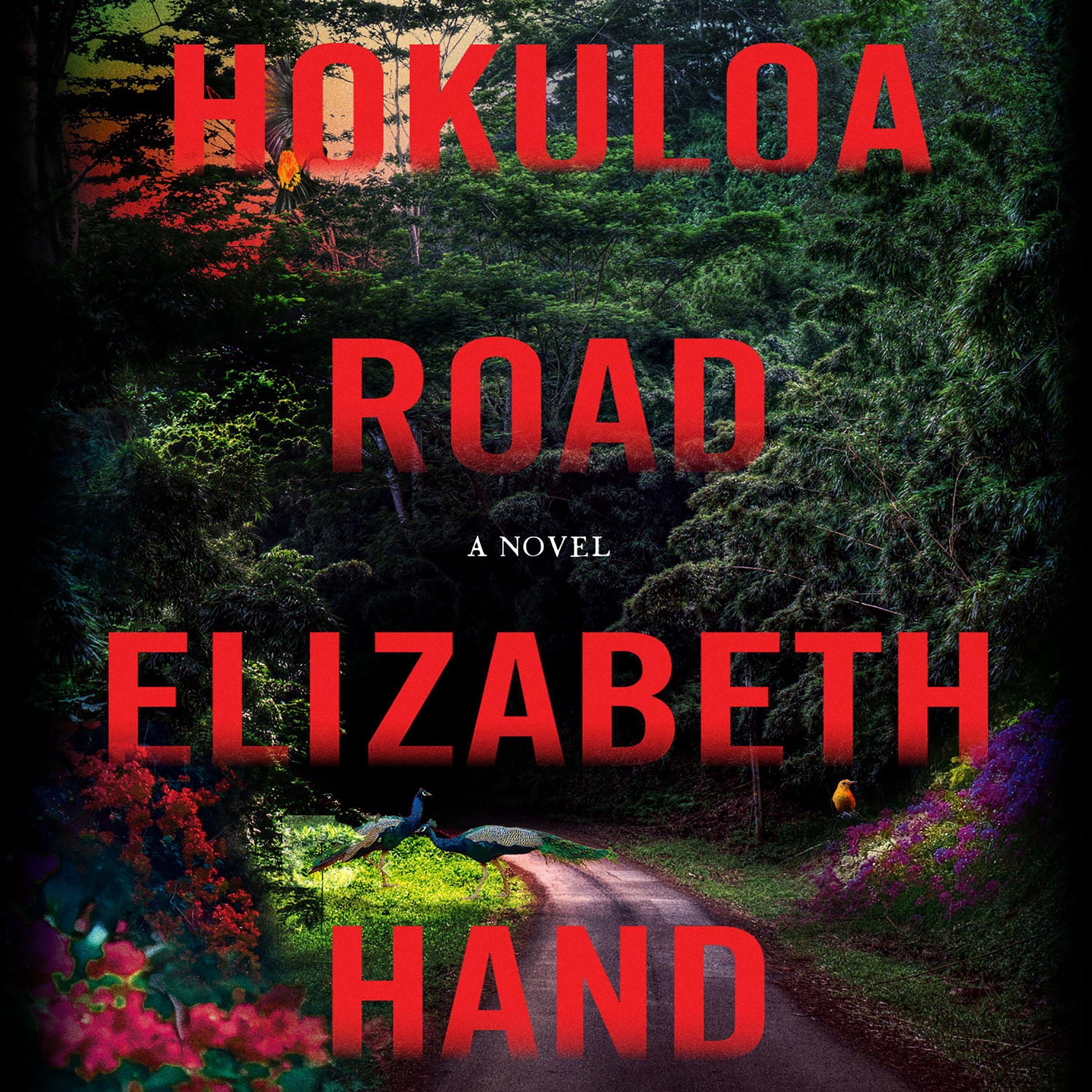 Elizabeth Hand