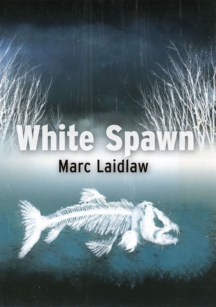 Marc Laidlaw